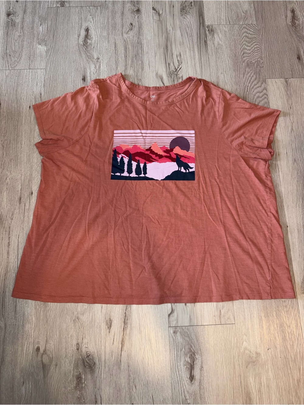 Women’s Dip Rust Graphic Short Sleeve Tee
